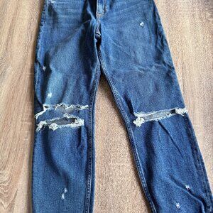 Abercrombie & Fitch The Mom High Rise Demin Jean NWT Size 28 6R